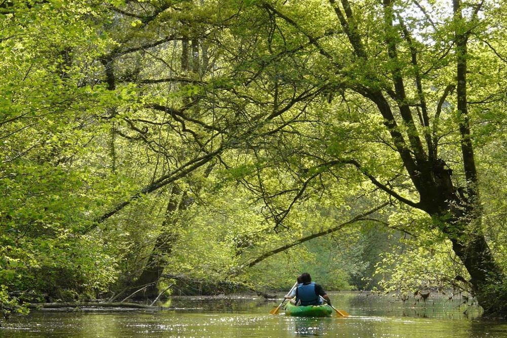 Canoë sur la vallée du Don - Guémené Penfao