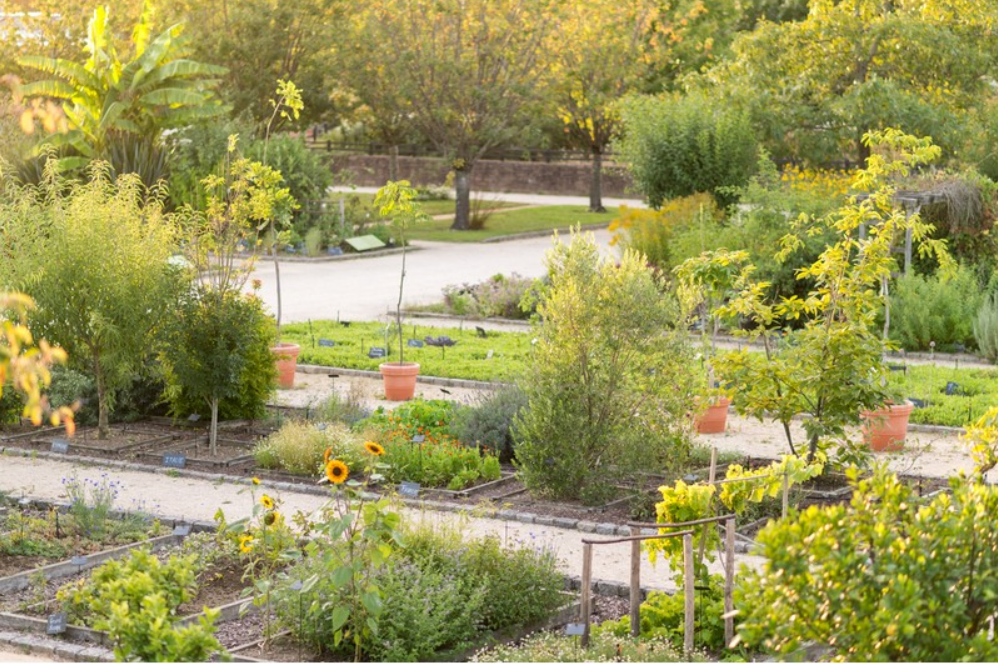 Jardin Botanique Yves Rocher - E Berthier