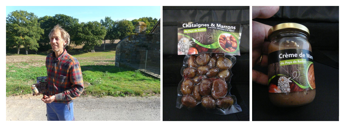 Récolte et mise en pot chatainge du Pays de Redon