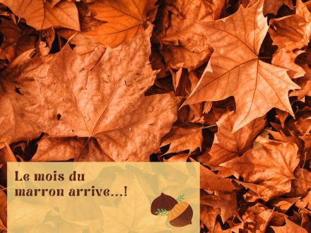 Le mois du Marron arrive !